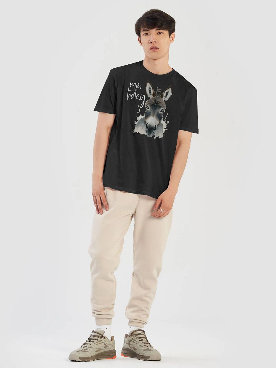 Me, today - Donkey product image (5)
