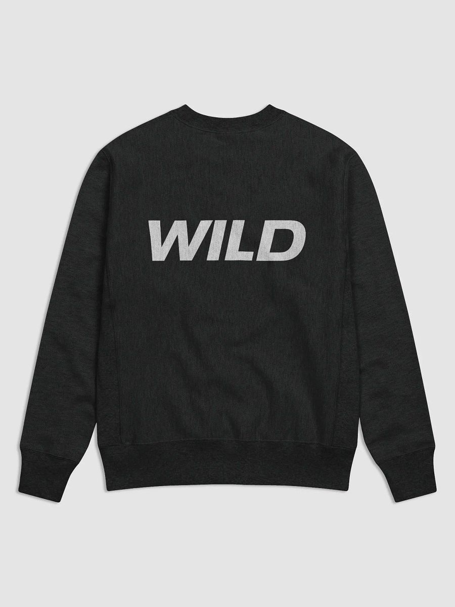 WILD ONES X Champion Crew Sweatshirt product image (1)