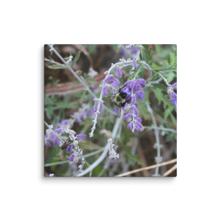 A Study in Flowers 4 product image (36)