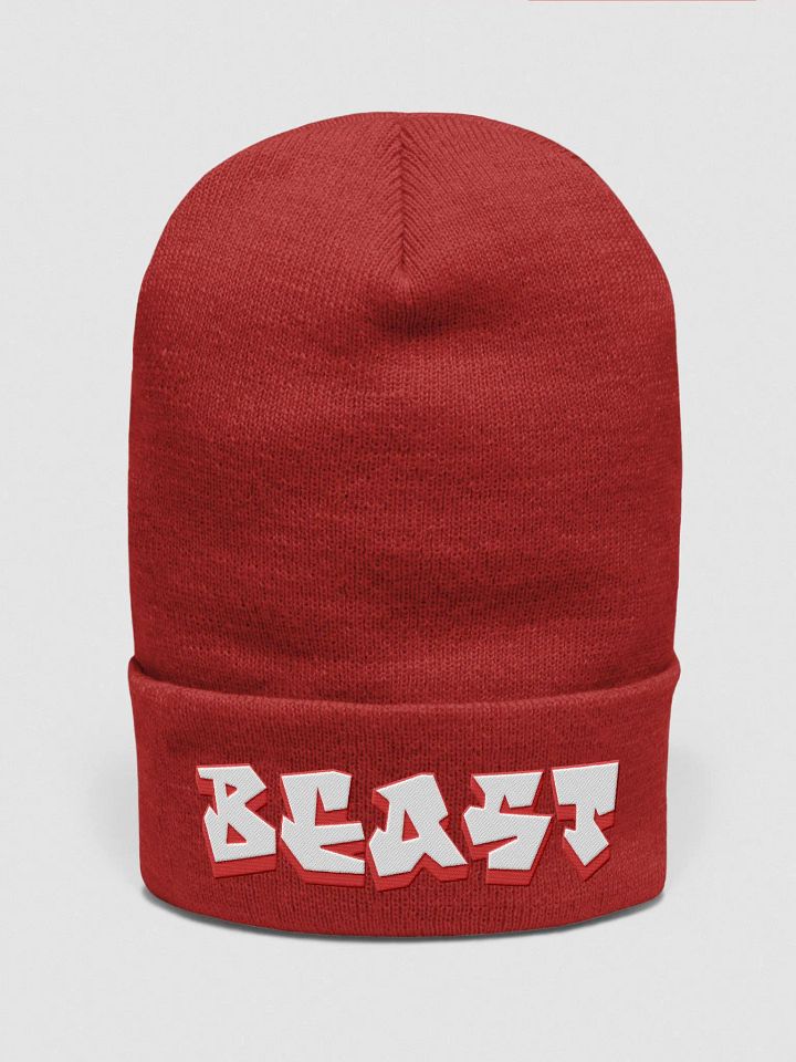 BEAST, Graffiti, Beanie product image (1)