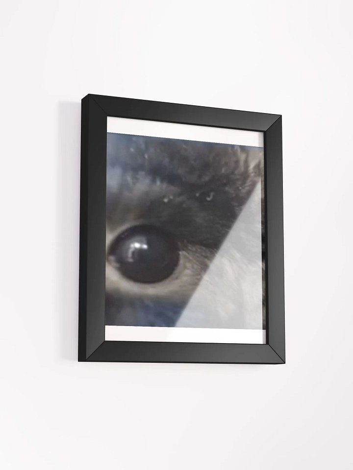Bou Stare Poster product image (20)