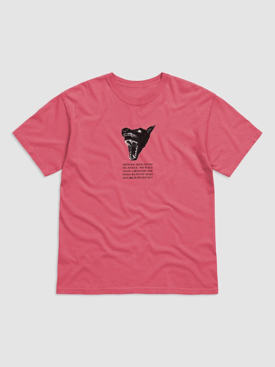 Show Em shirt 1 product image (1)