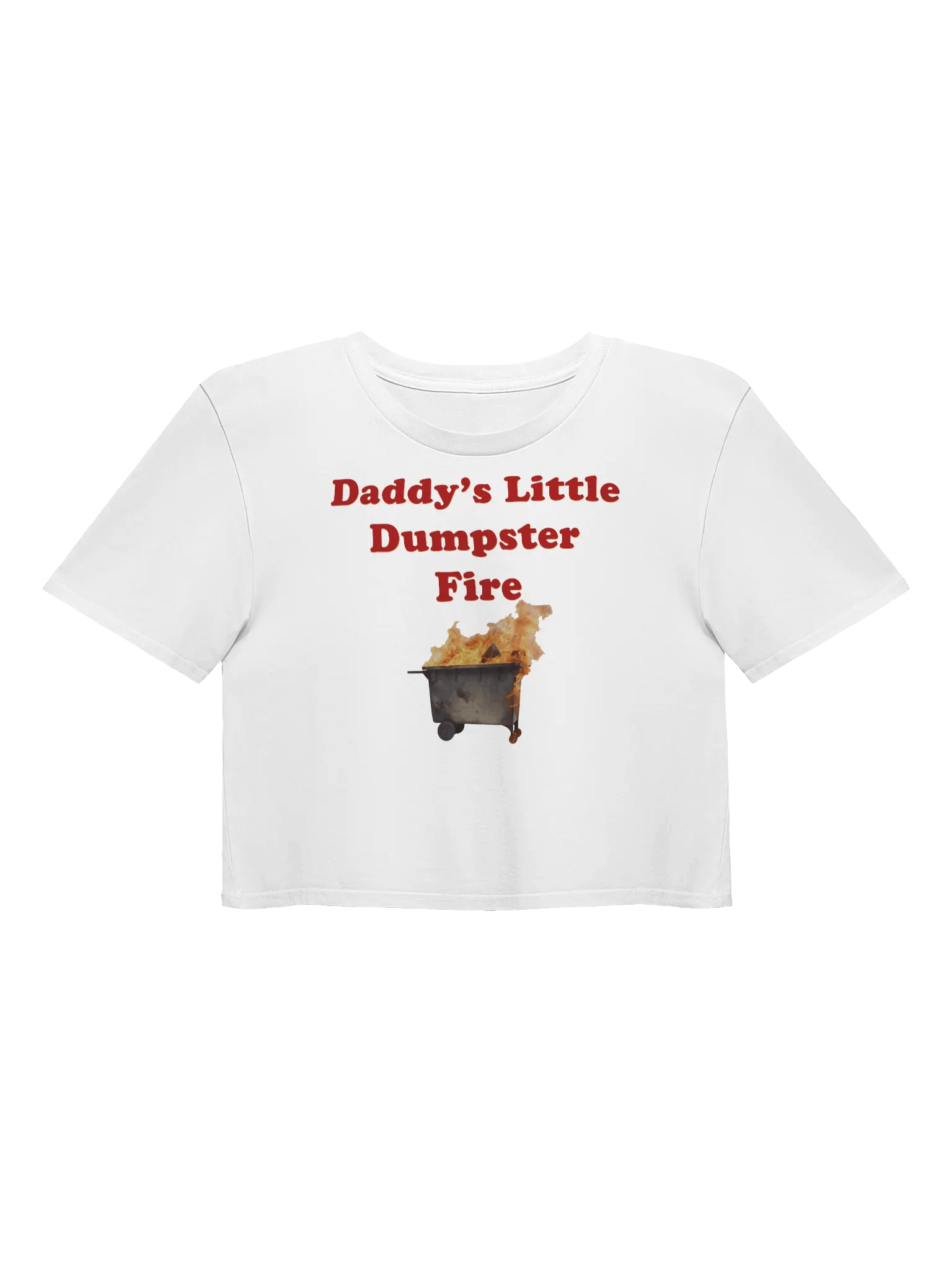 Daddy's Little Dumpster Fire Crop Top product image (1)