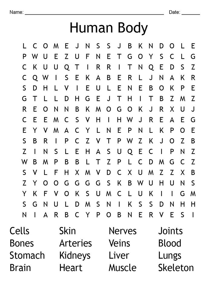 Printable Human Body Word Search – 16 Key Vocabulary Puzzle Activities! product image (1)