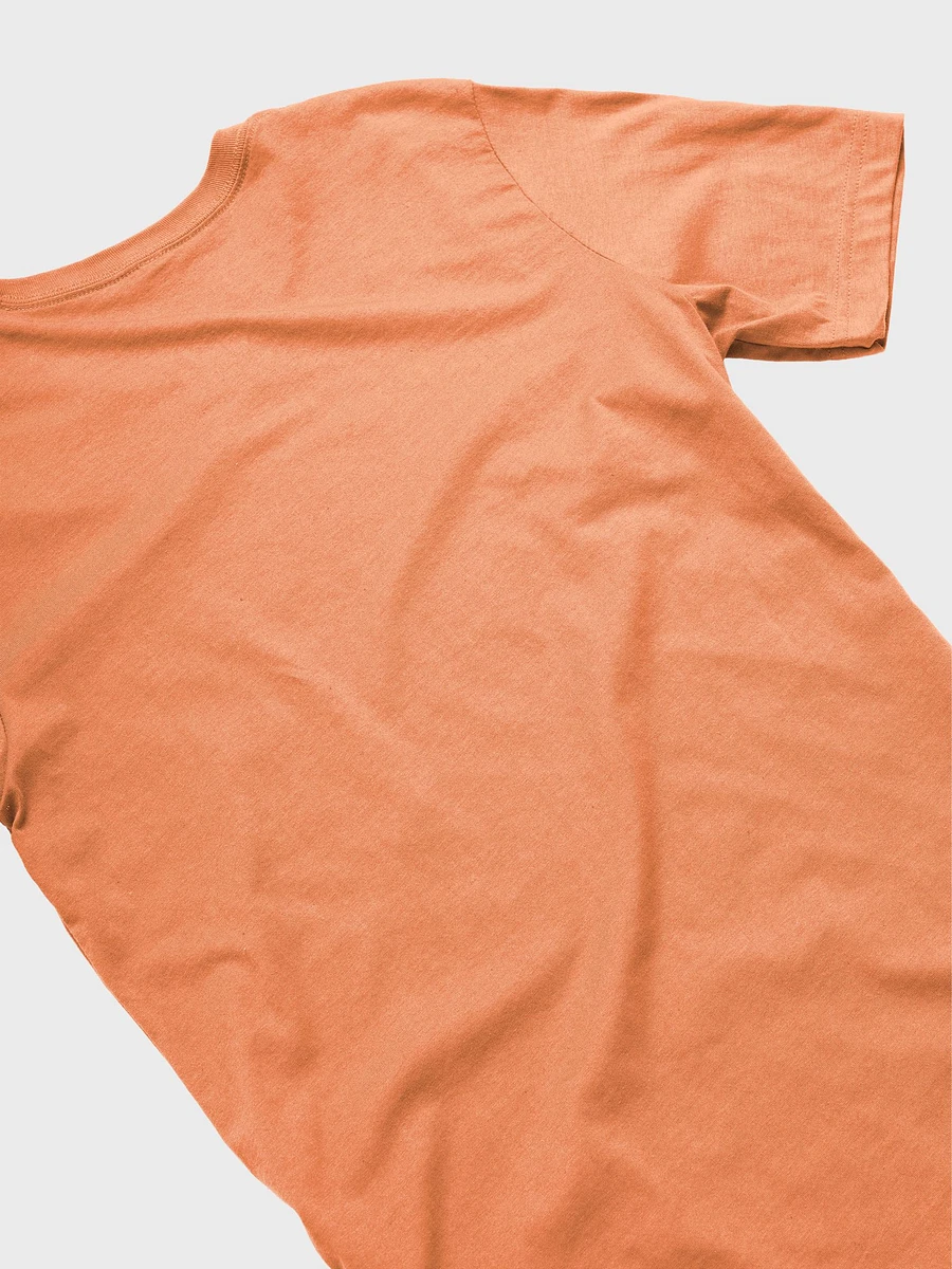 Orange Edition- 'Living Proof of the Mysterious Invisible Illness' CRPS Awareness T-Shirt (Unisex) product image (5)