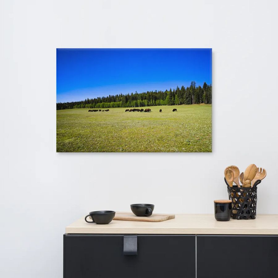 Grand Canyon Buffalo Graze product image (8)