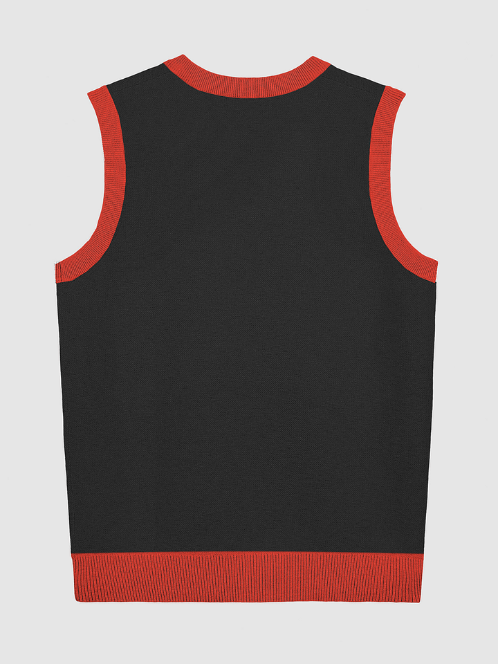 Swirling Vibe Knitted Vest product image (6)