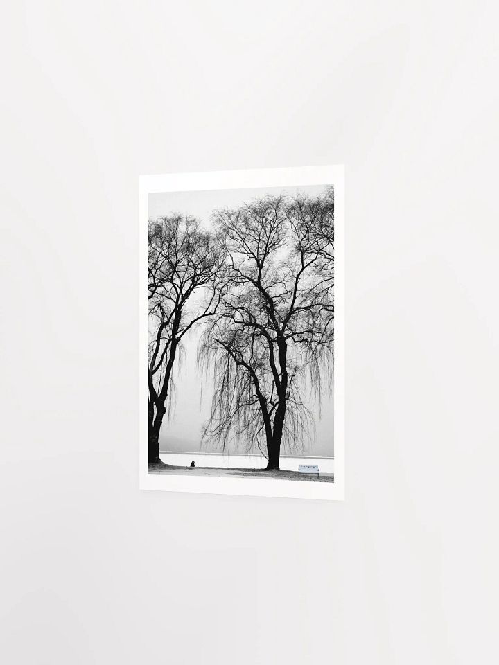 SOLACE IN THE MIST product image (12)