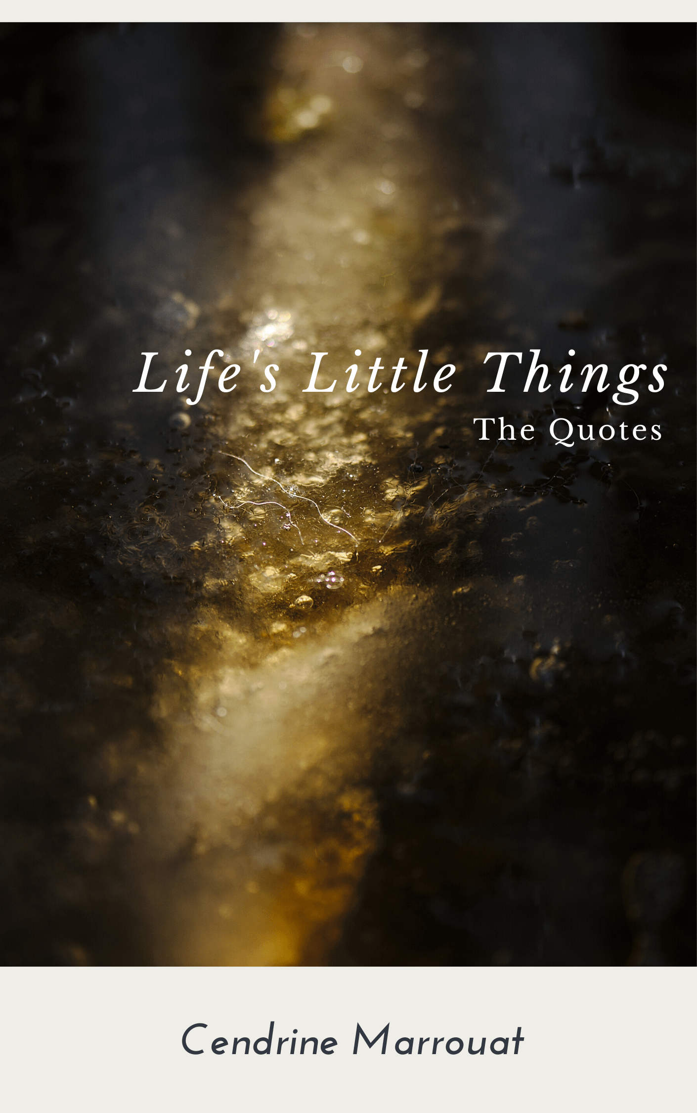 Life's Little Things: The Quotes product image (1)