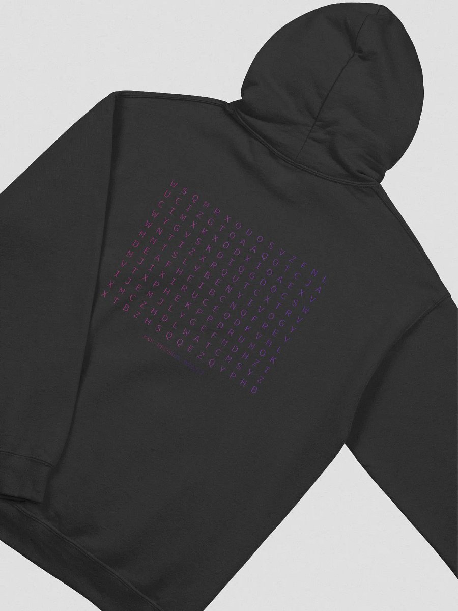 Hidden Word Hoodie product image (4)