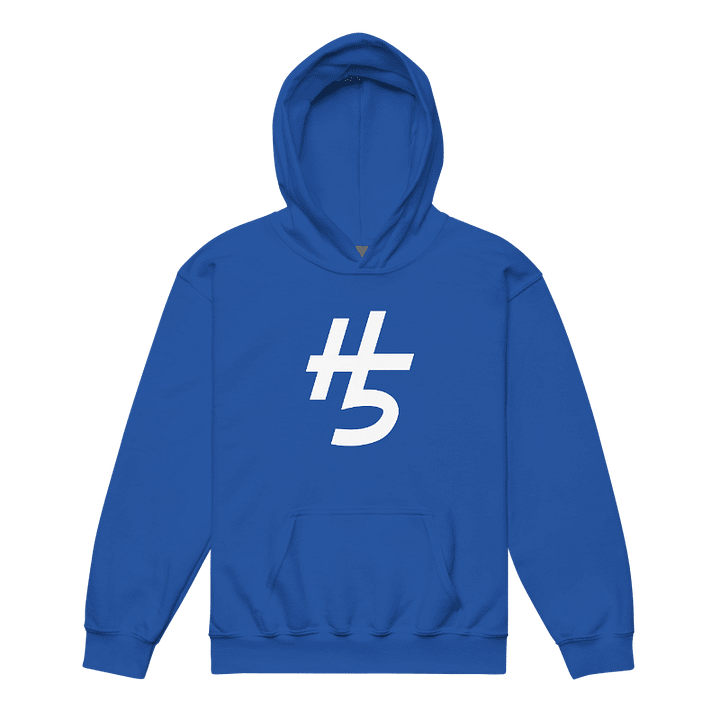 H5 Hoodie (Youth) product image (1)