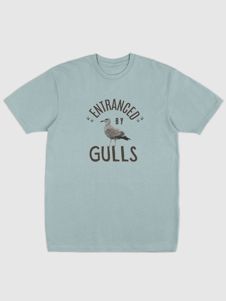 Entranced by Gulls Premium Heavyweight T-shirt product image (2)