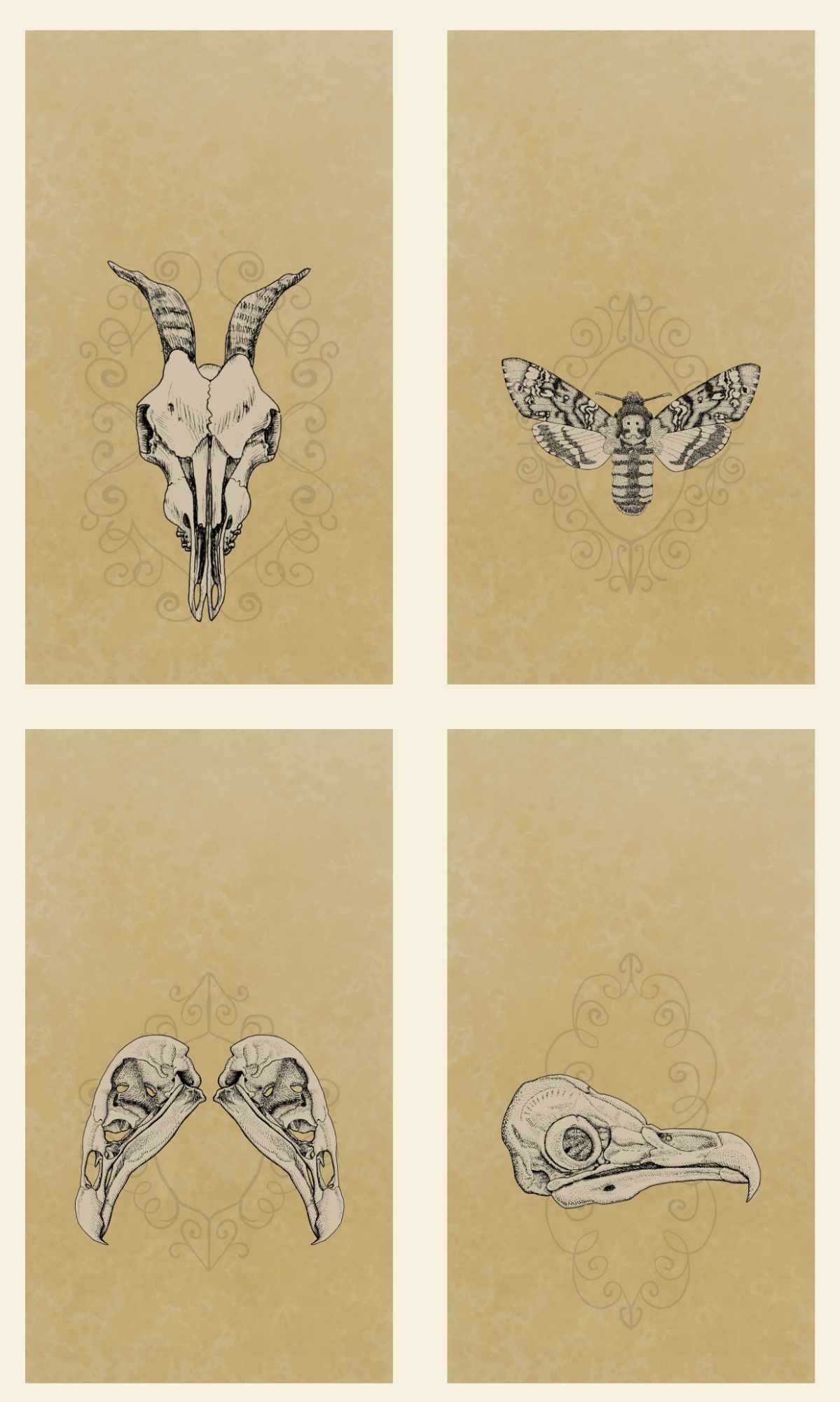 Iphone Wallpaper pack 1 product image (1)