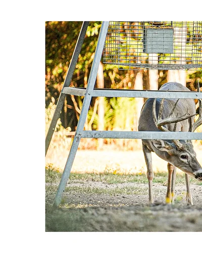 East Texas at its finest