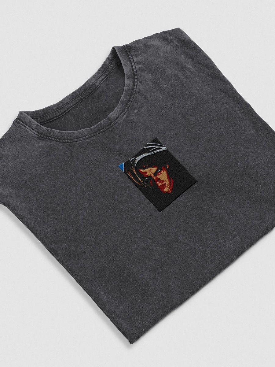 ANAKIN SKYWALKER product image (3)