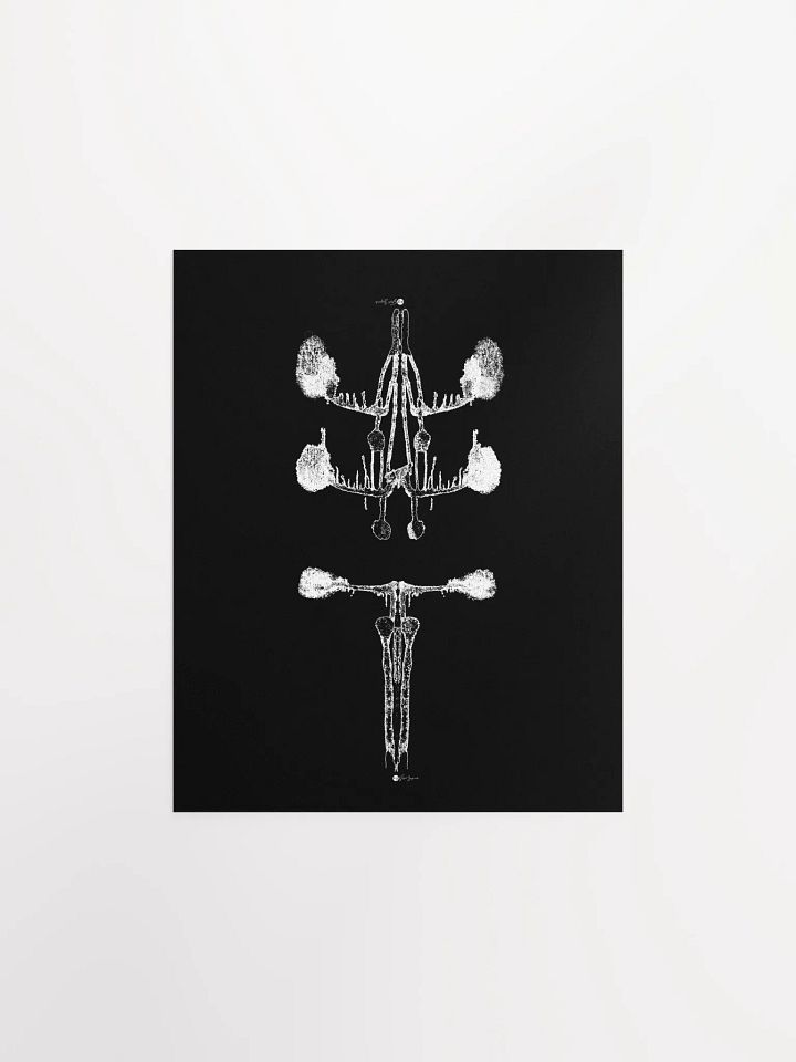 Inkblot no.4 | Poster/Print | 8x10 product image (1)