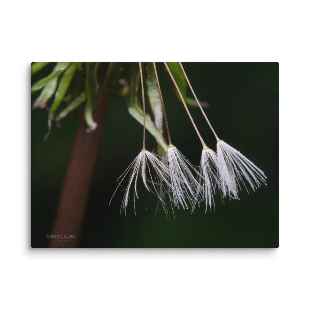 Four Remaining Wishes - Print On Canvas product image (1)