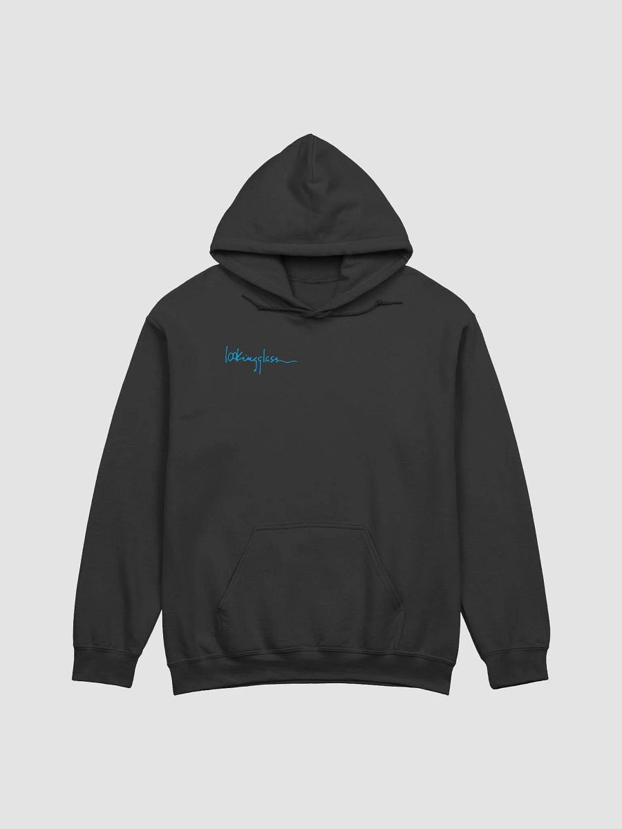 Lookingglass Hoodie product image (3)