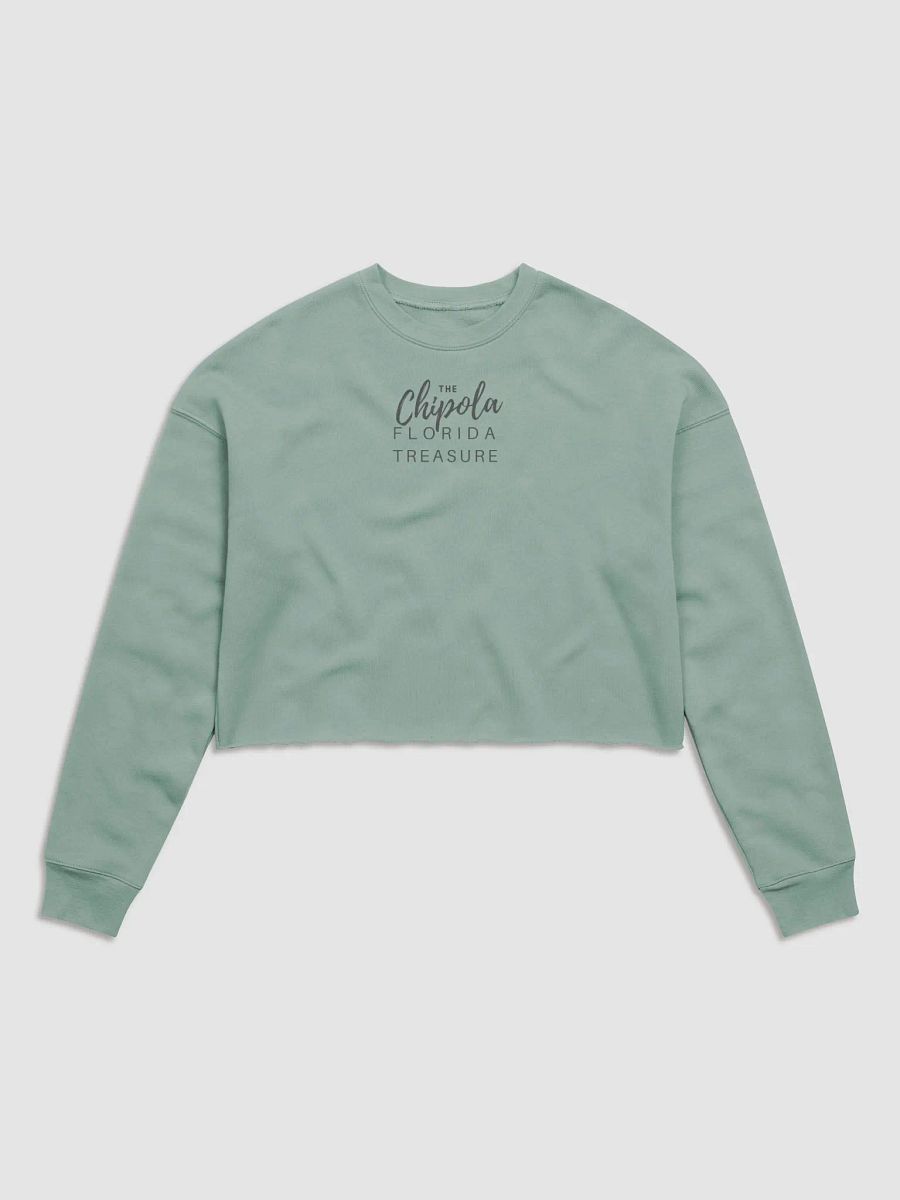 The Fleece Crop Sweatshirt product image (3)