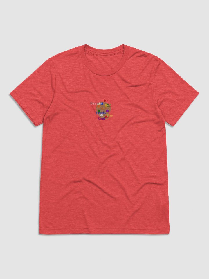 Soulful Palette Triblend Tee product image (1)