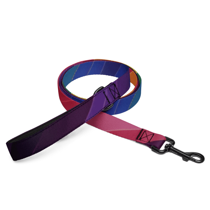 Rainbow Dog Leash product image (2)
