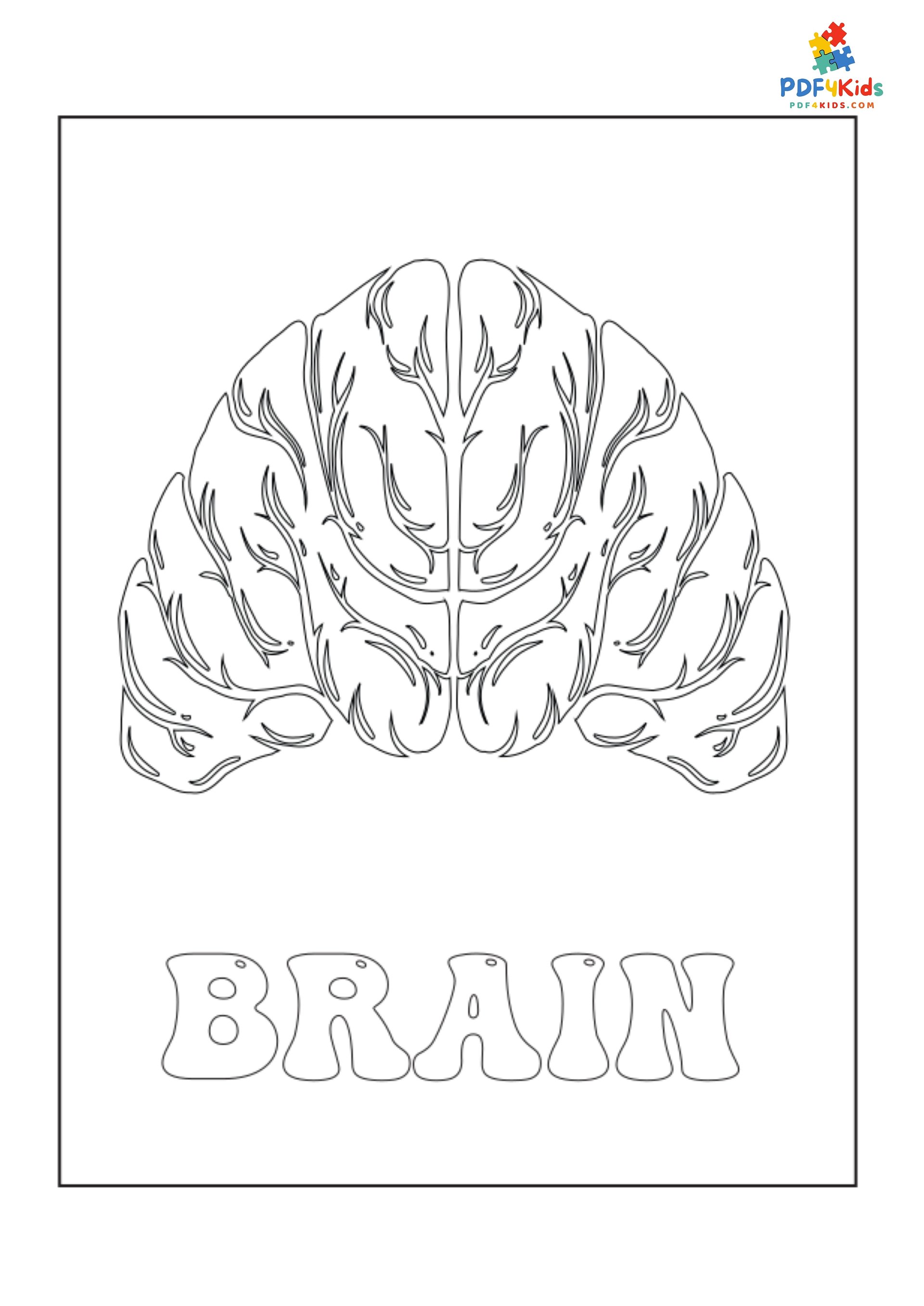 The Little Doctor: Coloring the Human Body Parts (36 Pages) product image (3)