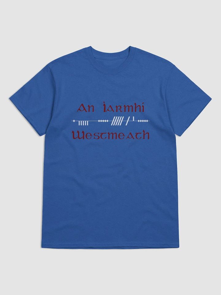Westmeath/An Iarmhí Scholastic style Ogham printed T-shirt product image (61)