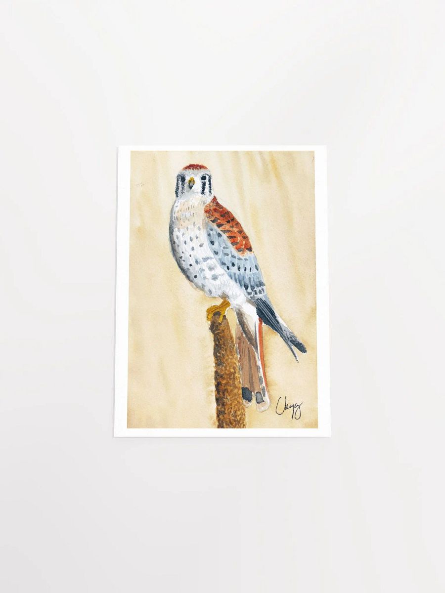 Kestrel Print product image (4)