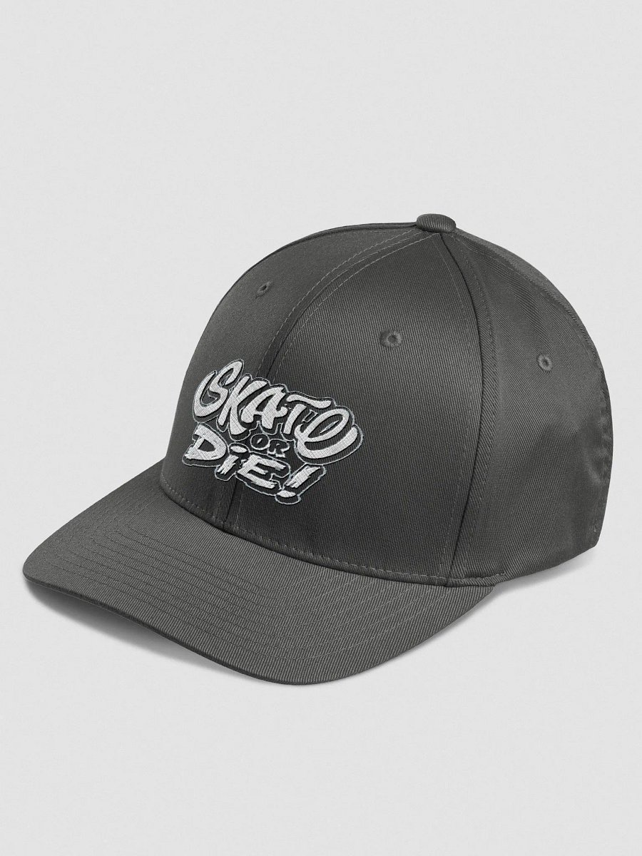 Skate Or Die! Fitted Hat (reverse) Women's product image (9)