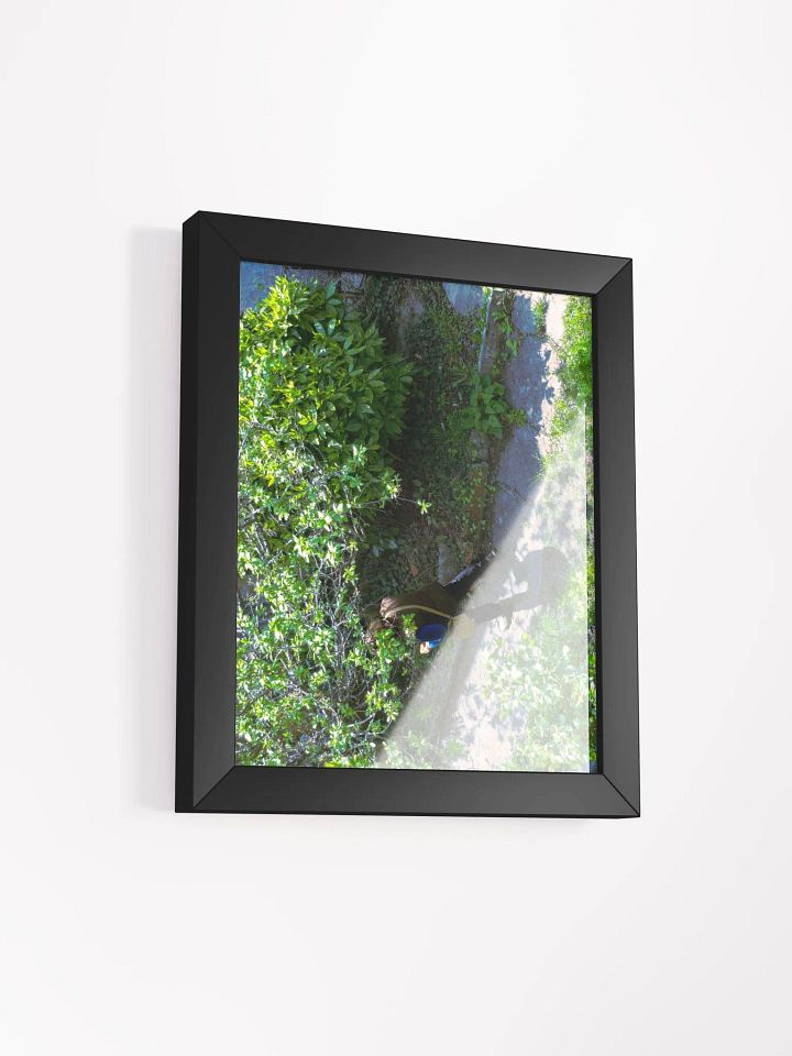 Enchanted Pathway Framed Matte Poster product image (21)