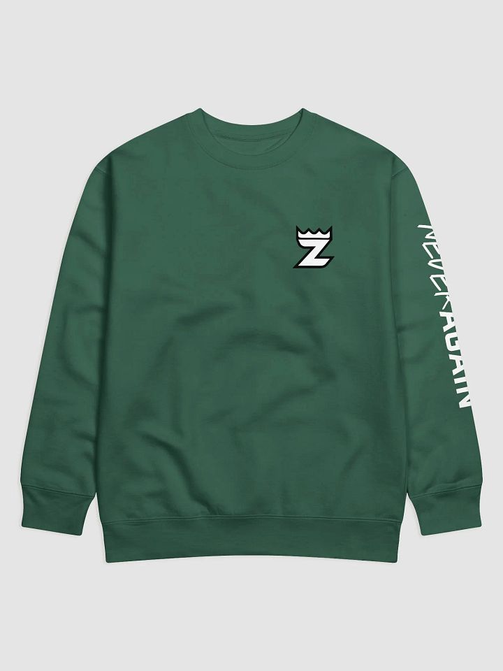 Never Again Sweatshirt - Green product image (1)