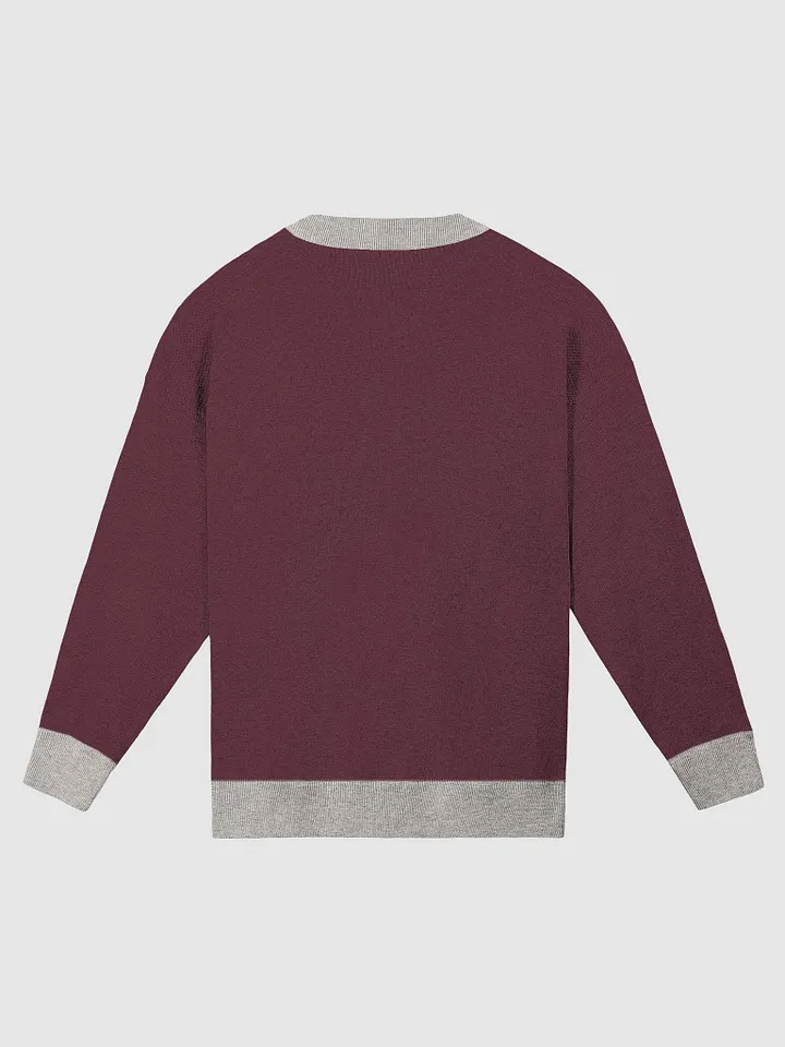 Writer Sweater in Burgundy and Sand product image (2)