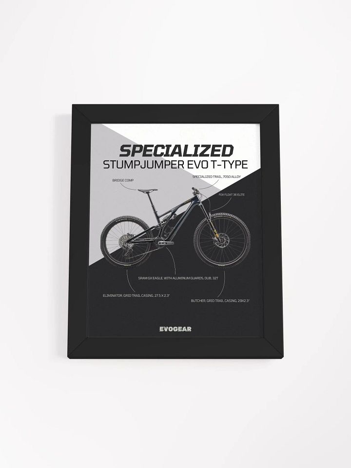 Specialized Stumpjumper EVO Expert T-Type Frame product image (4)