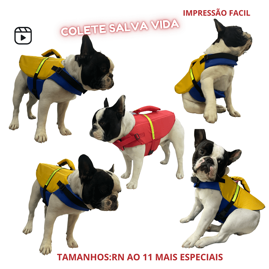 Colete Salva Vidas - Modelagem Pet PDF product image (1)