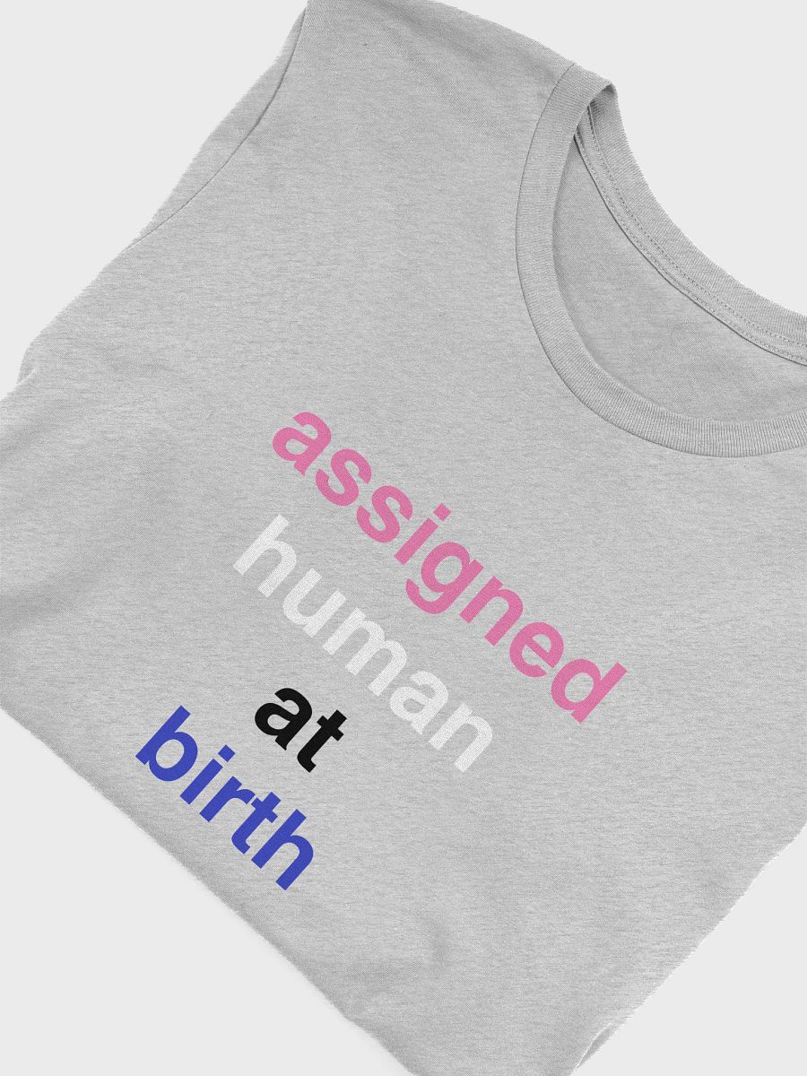 assigned human at birth genderfluid t-shirt product image (5)