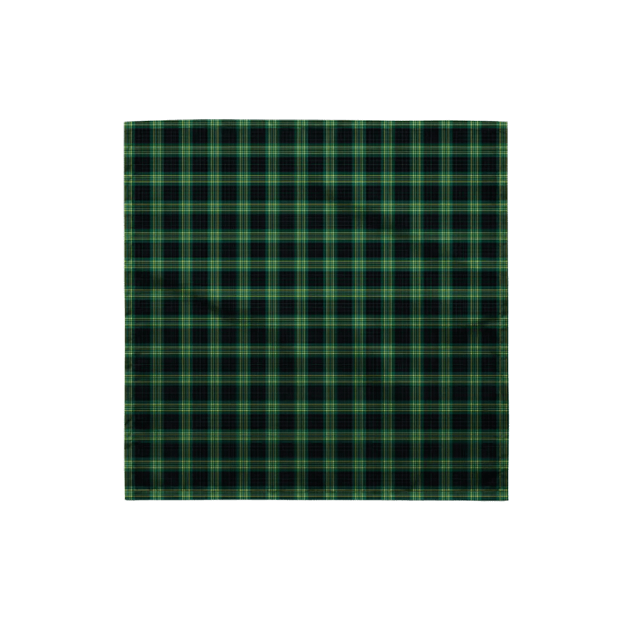 Fitzpatrick Hunting Tartan Bandana product image (4)