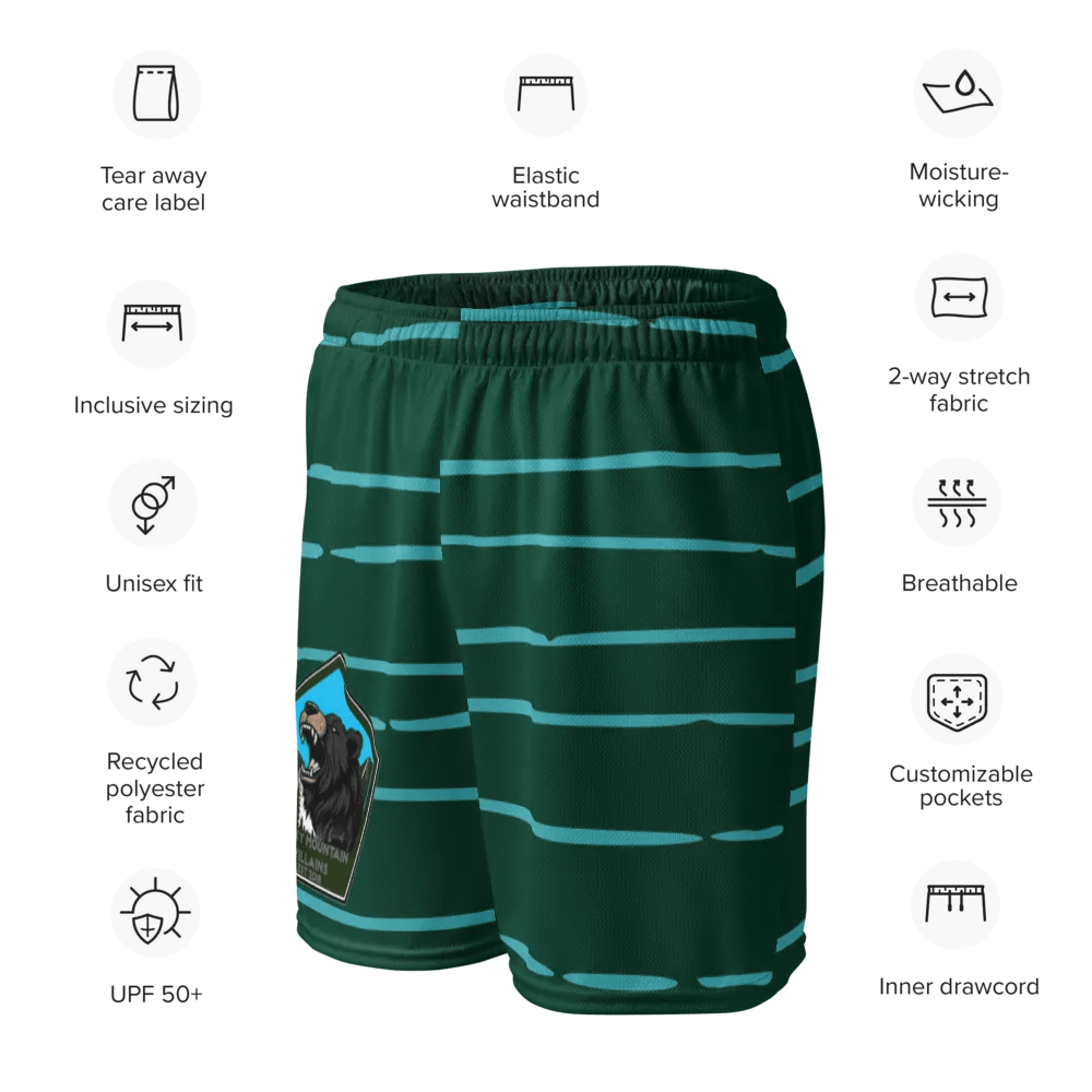 Logo Mesh Shorts product image (4)