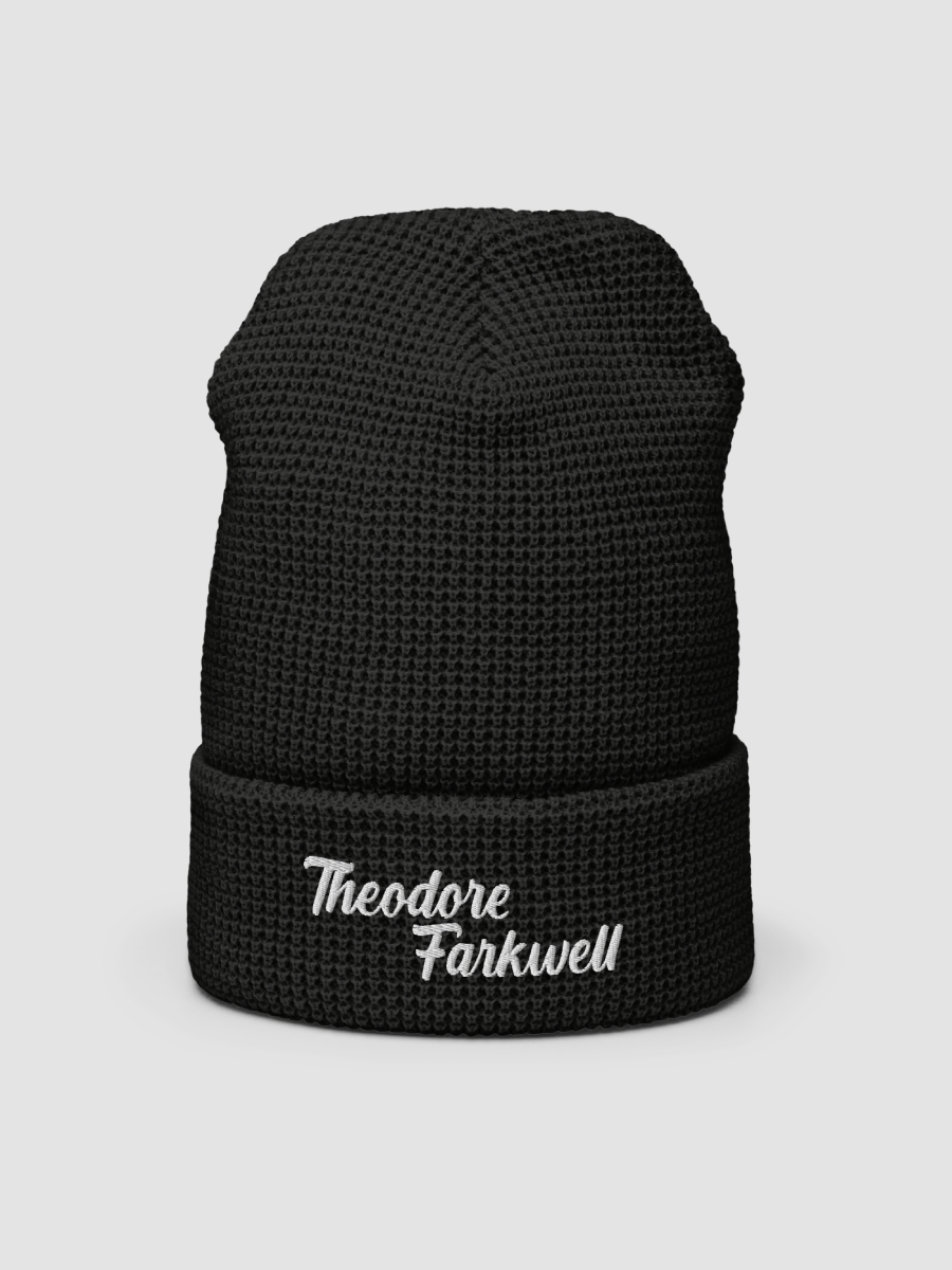 THEODORE FARKWELL BEANIE product image (2)