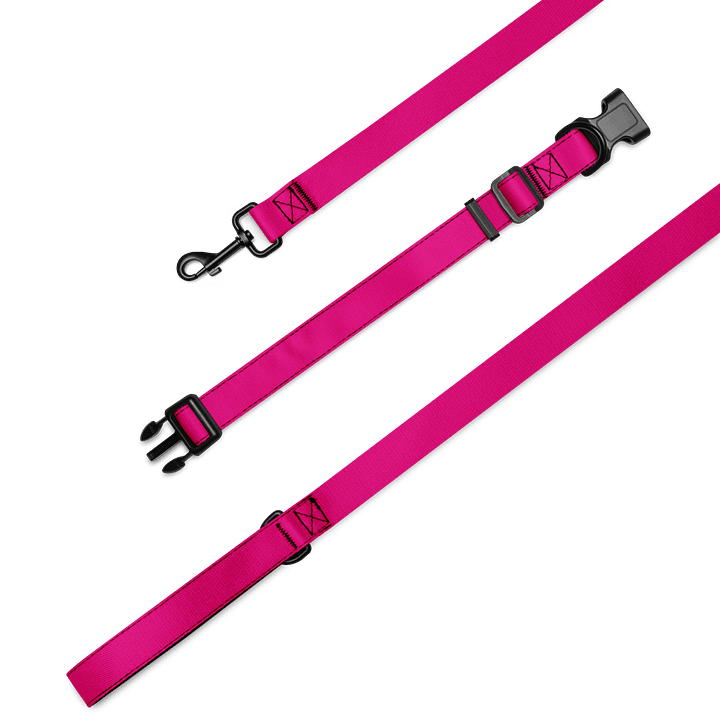 Lucky Dog Pink Pet Collar & Leash Set 03 product image (2)
