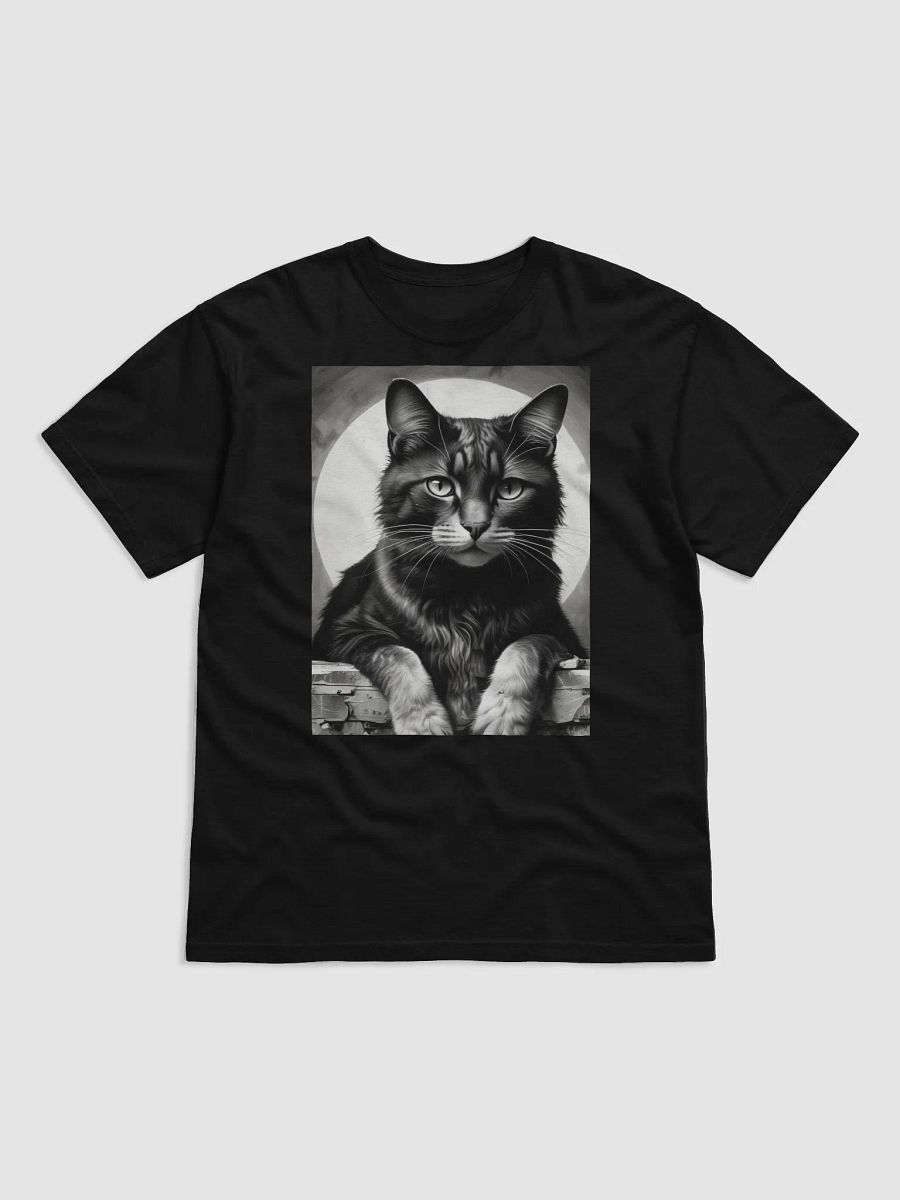 Cat product image (17)