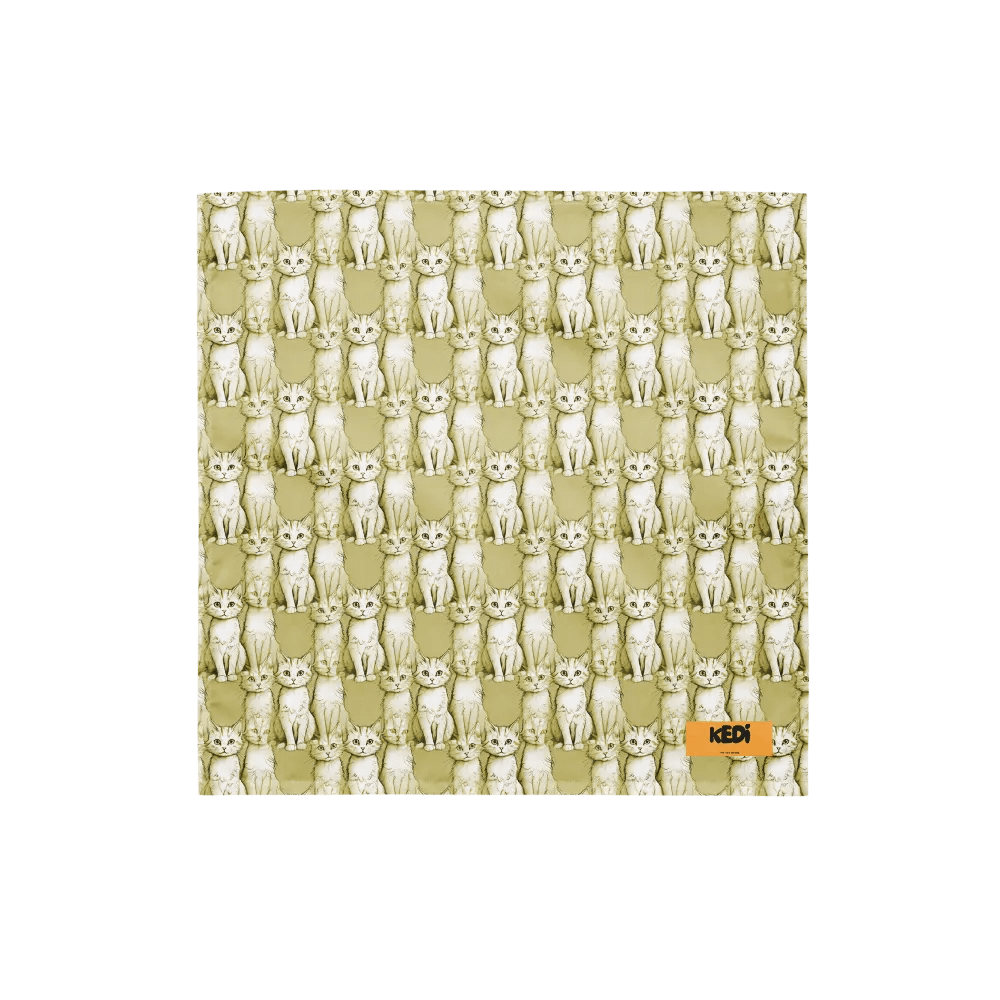 Scarf The Cat Sketchbook Collection product image (3)