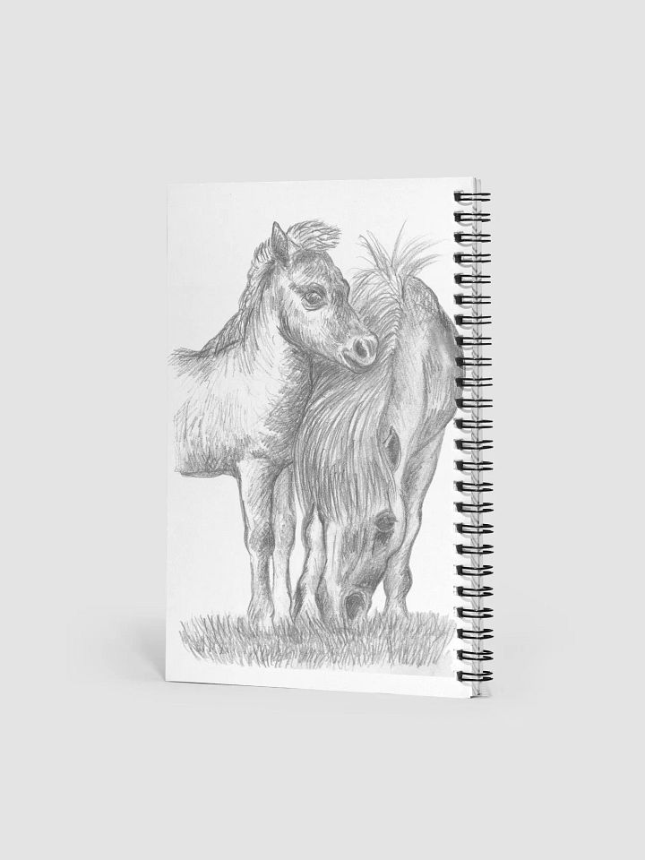 Shetland pony and foal Journal product image (2)