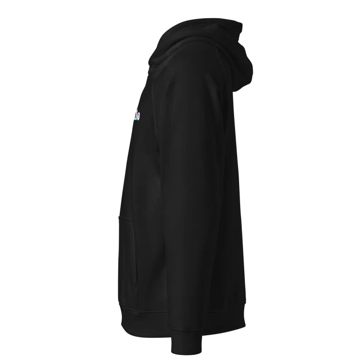 Pluviophile Raglan Hoodie product image (2)