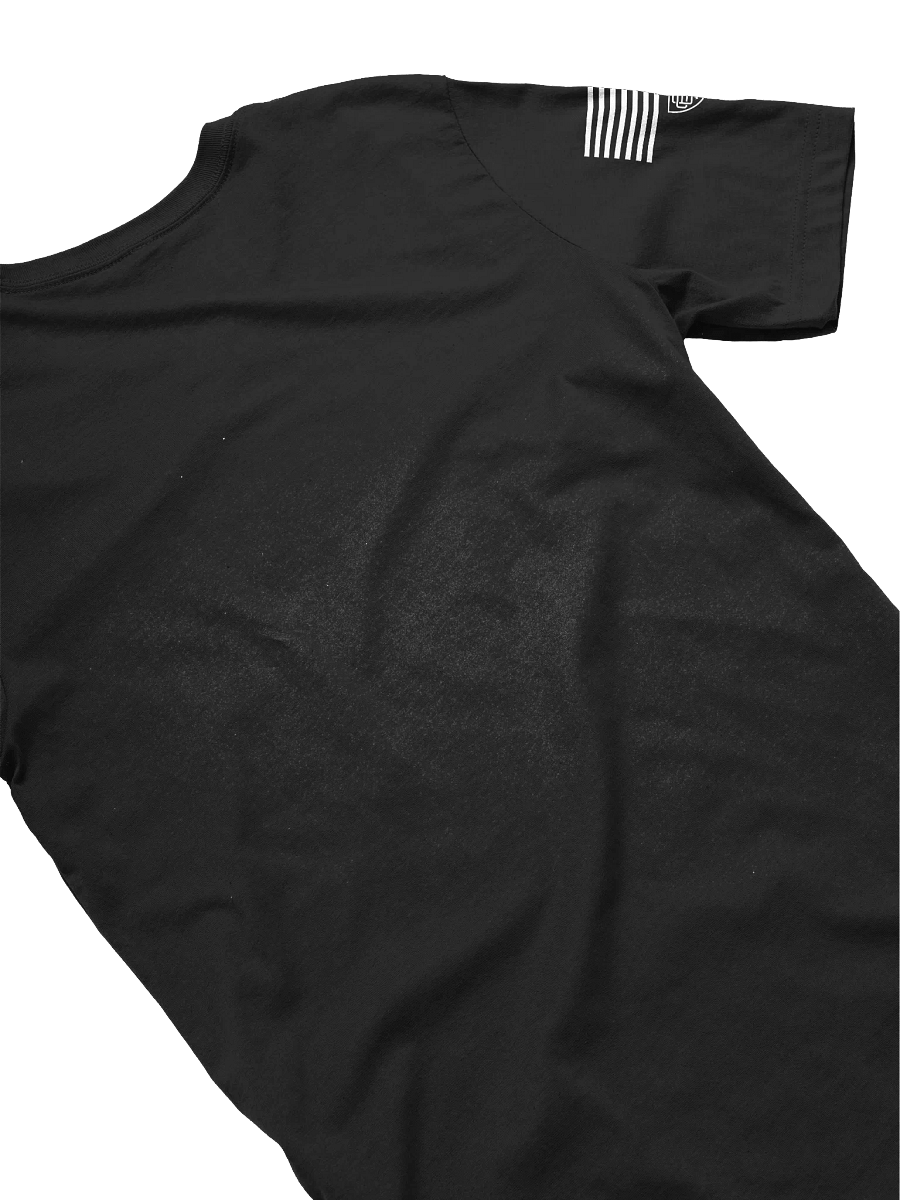 101st Airborne Division "All American" Distressed T-Shirt product image (36)
