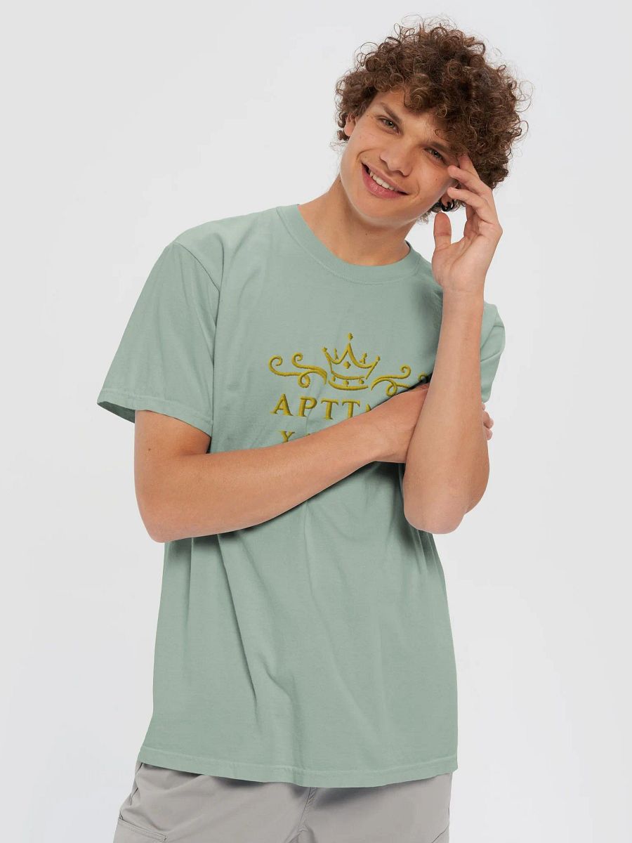 Illuminated Manuscript T-Shirt product image (6)