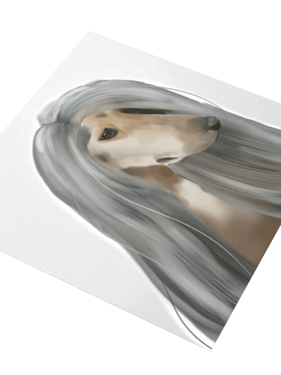 Afghan Hound product image (8)