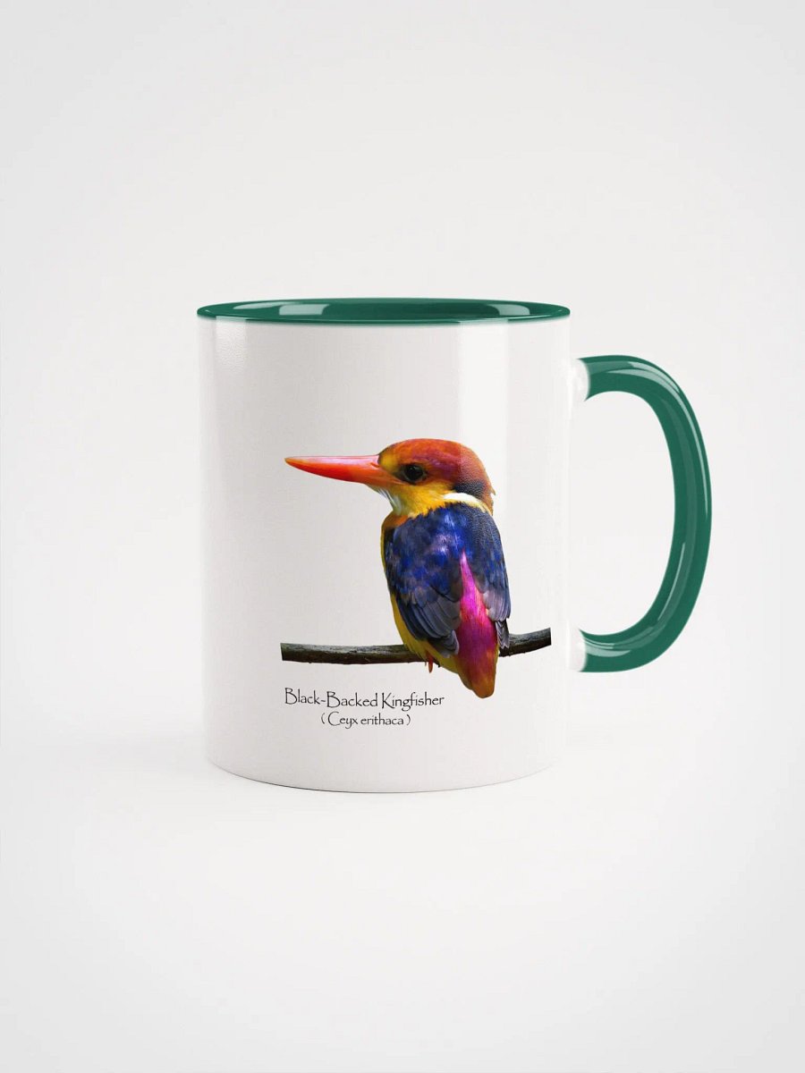 Oriental Dwarf Kingfisher product image (9)