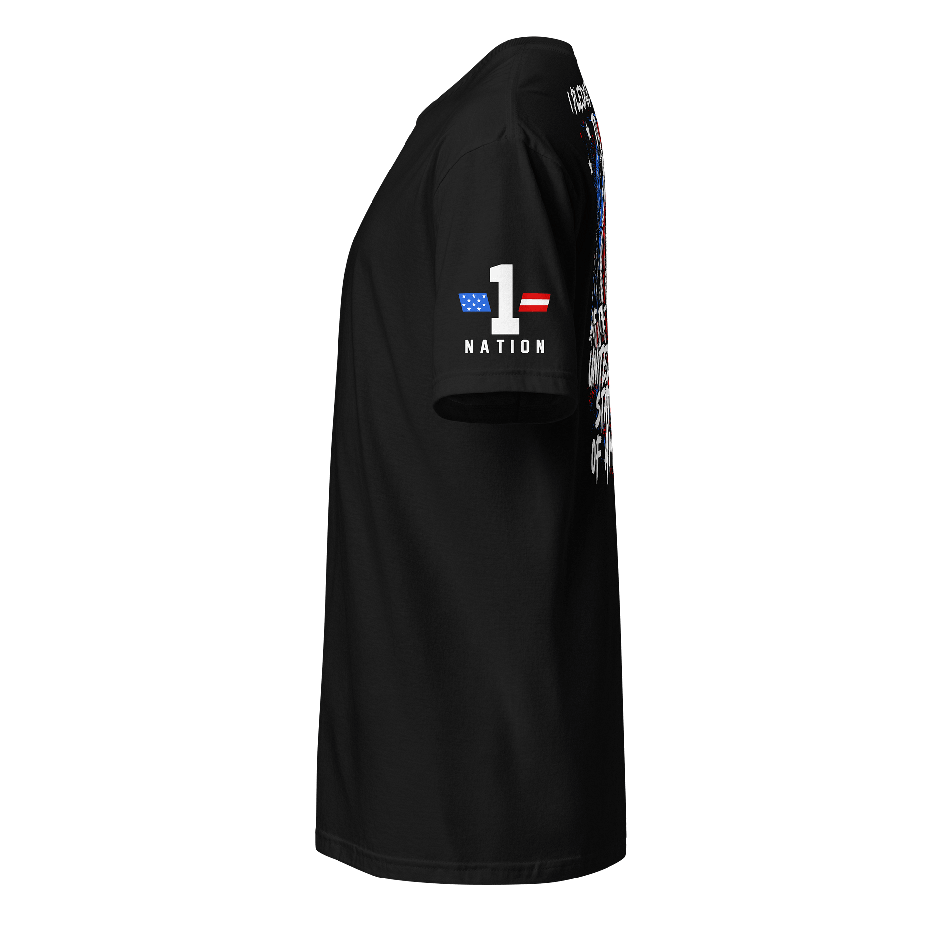 Eagle Pledge of Allegiance product image (3)