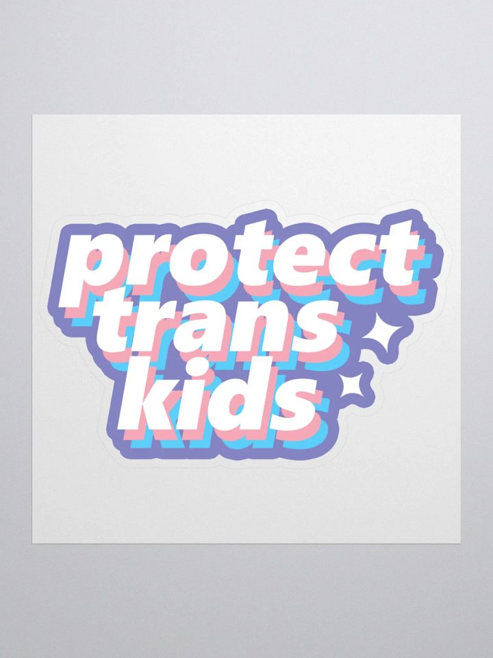 Protect Trans Kids product image (1)