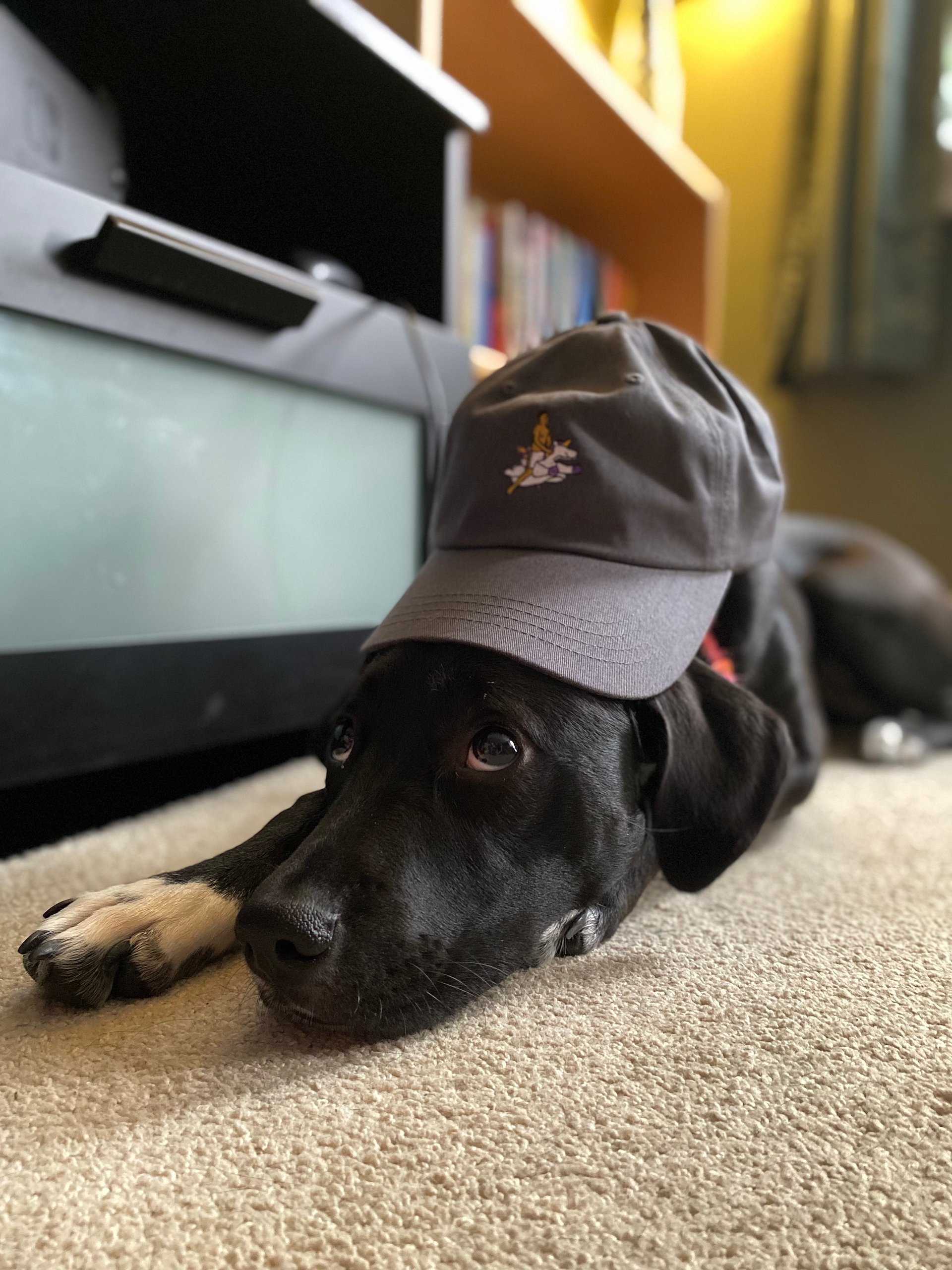 Saka on a hat product image (19)